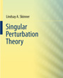 Singular Perturbation Theory